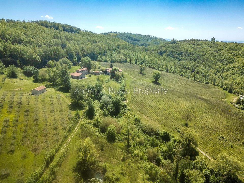 Villa i Scansano, Grosseto - foto 2