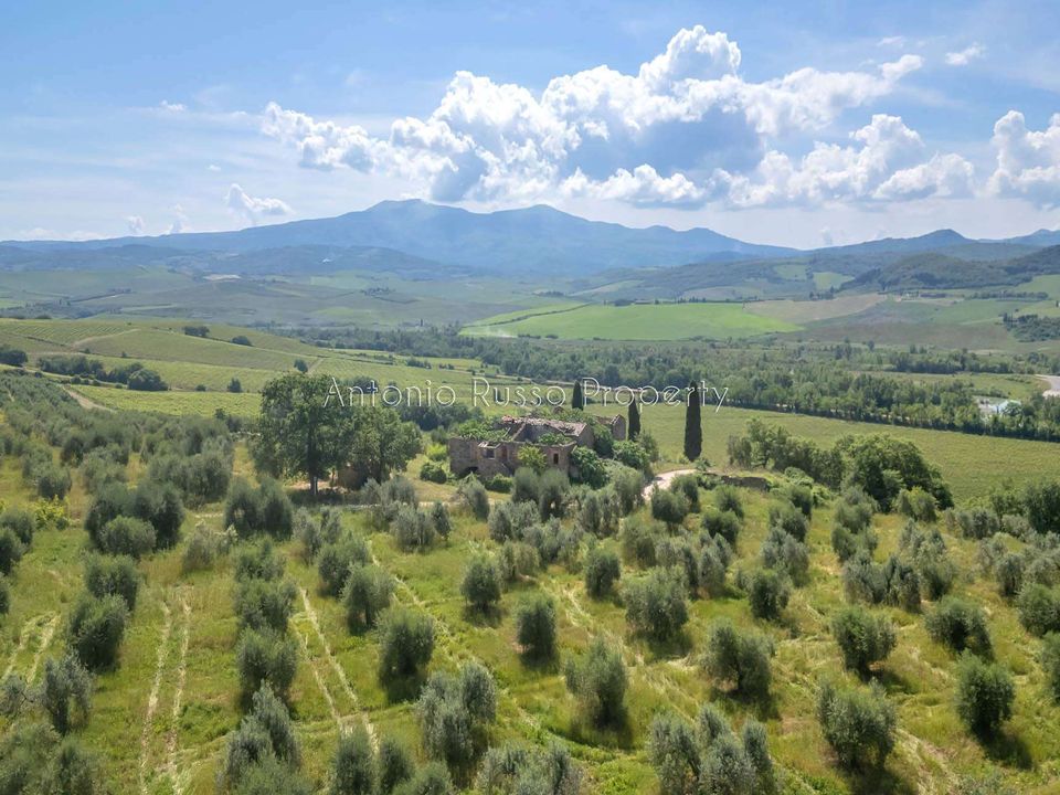 Villa i Montalcino, Siena - foto 2