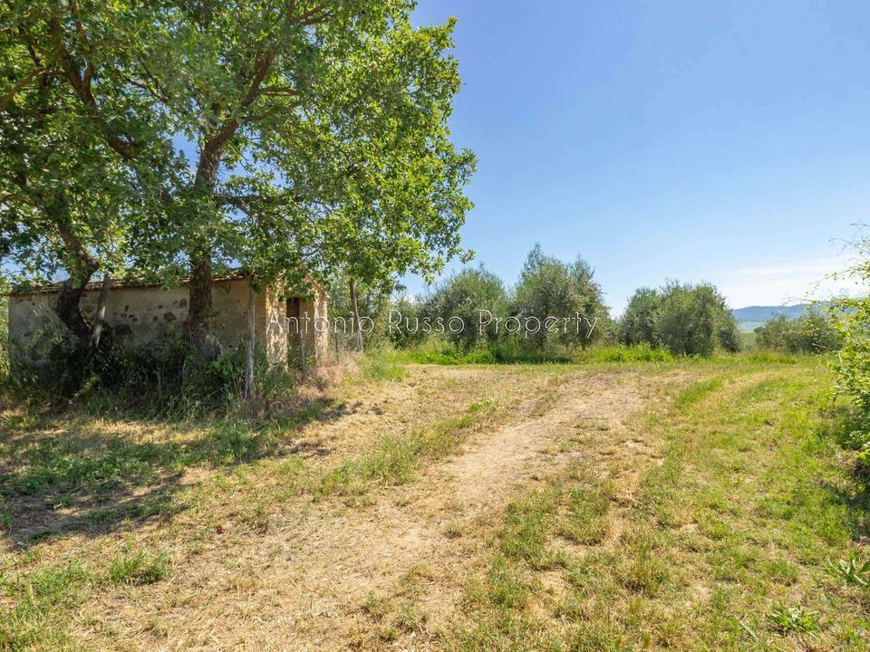 Villa i Montalcino, Siena - foto 4