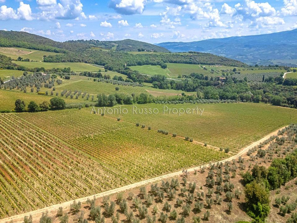Farm hus i Montalcino, Siena - foto 4