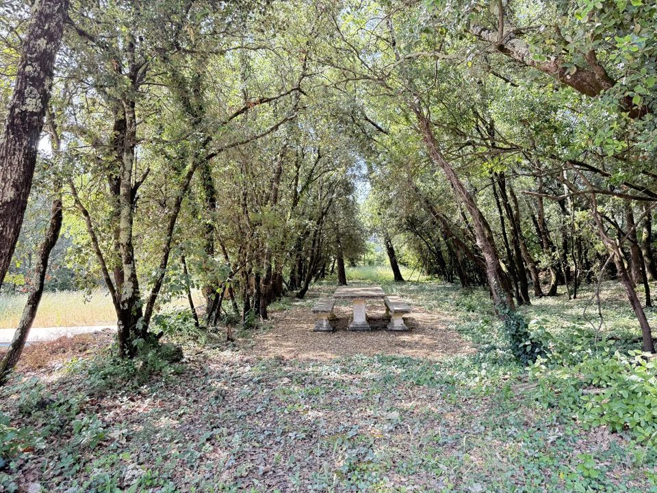 Villa i Besse-sur-Issole, Var - foto 3