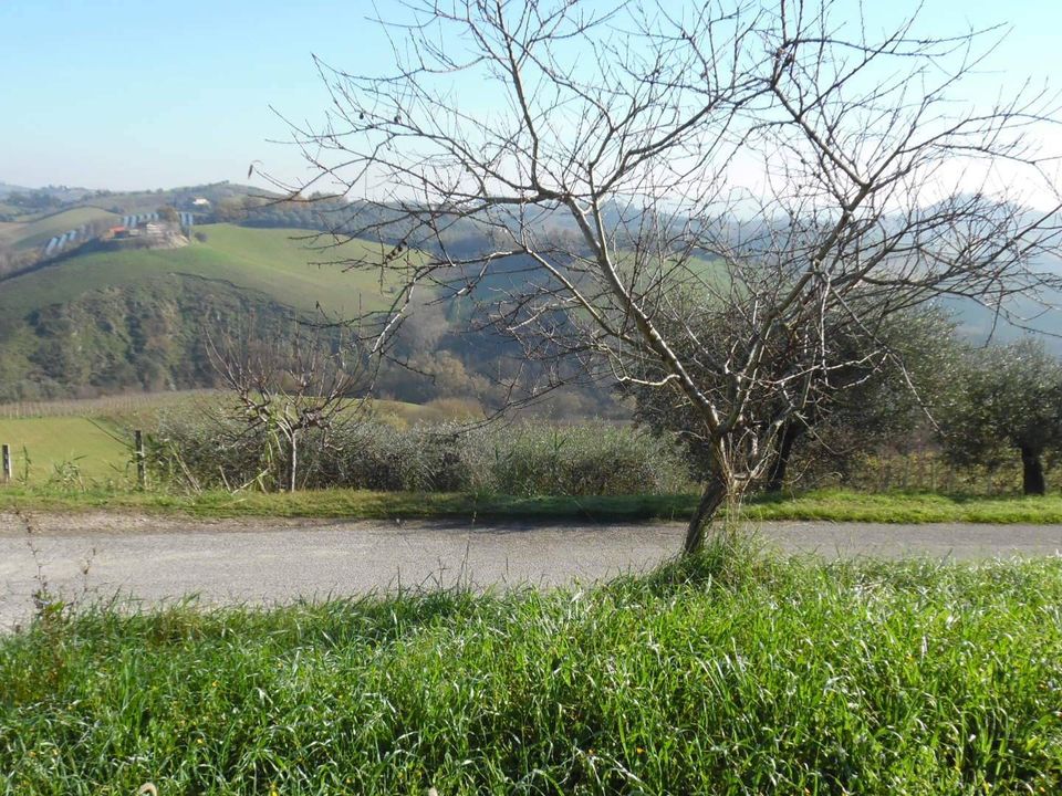 Helårsgrund i Monteprandone, Ascoli Piceno - foto 1