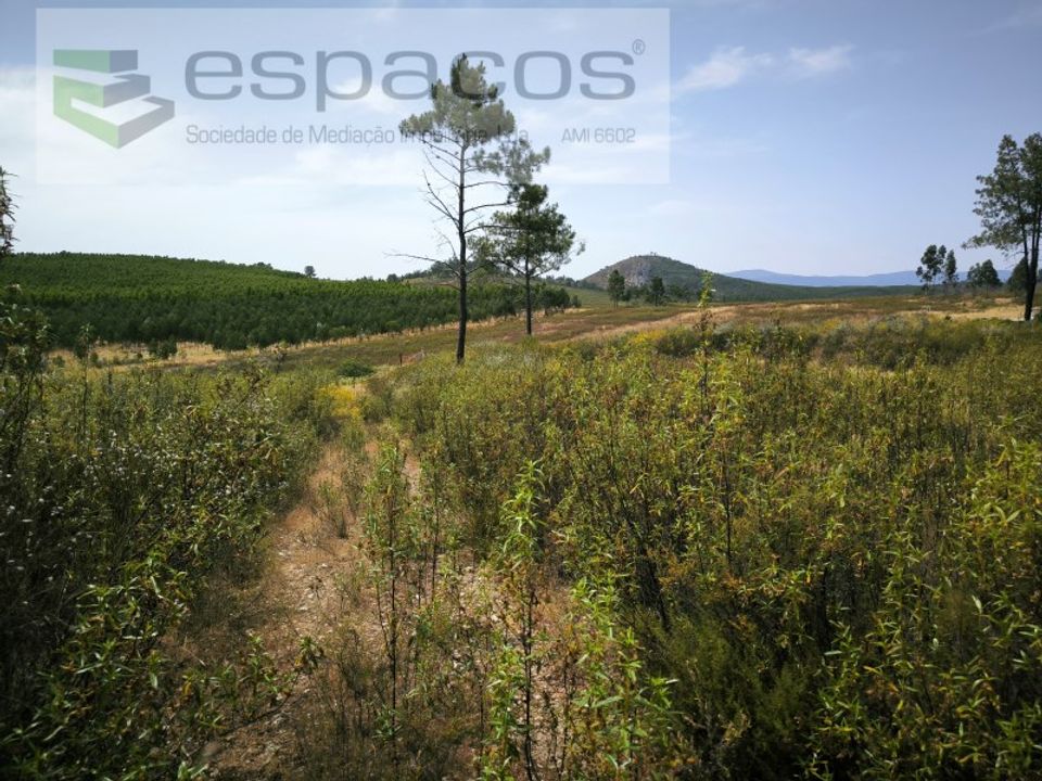 Helårsgrund i Castelo Branco, Castelo Branco - foto 4