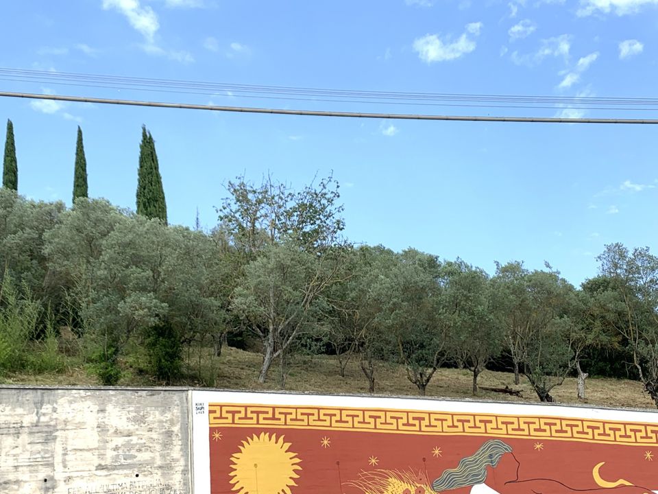 Erhvervsejendom i Anagni, Frosinone - foto 3
