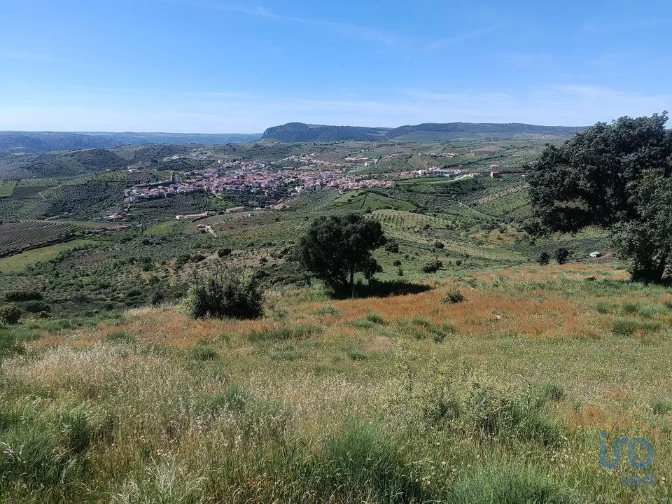 Działka: Freixo de Espada a Cinta, Braganca – zdjęcie 3
