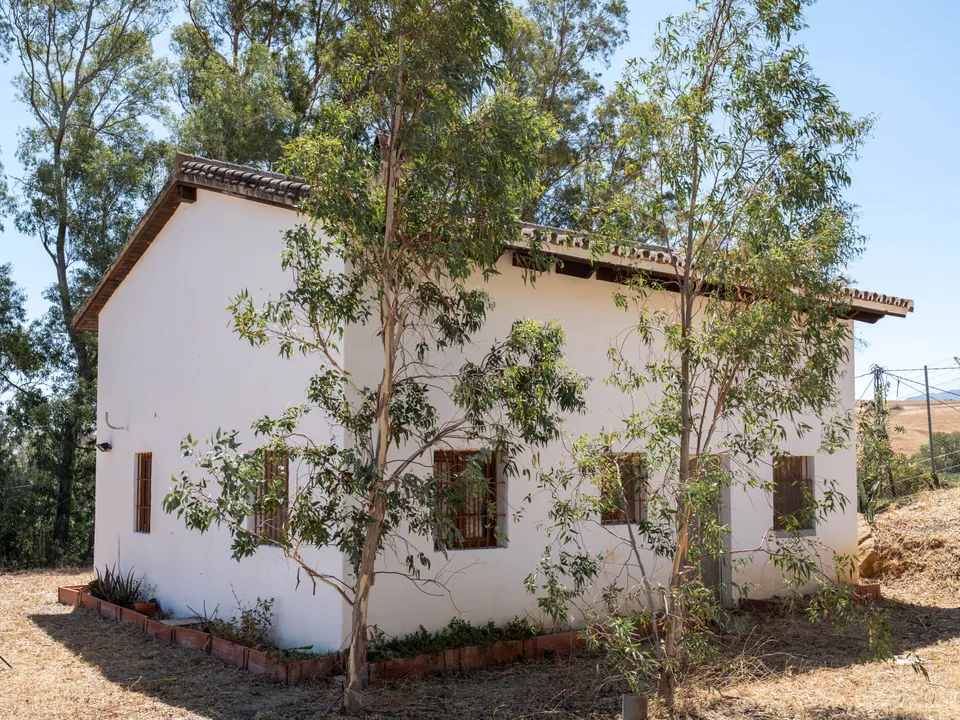 Finca i Cartama, Malaga - foto 3