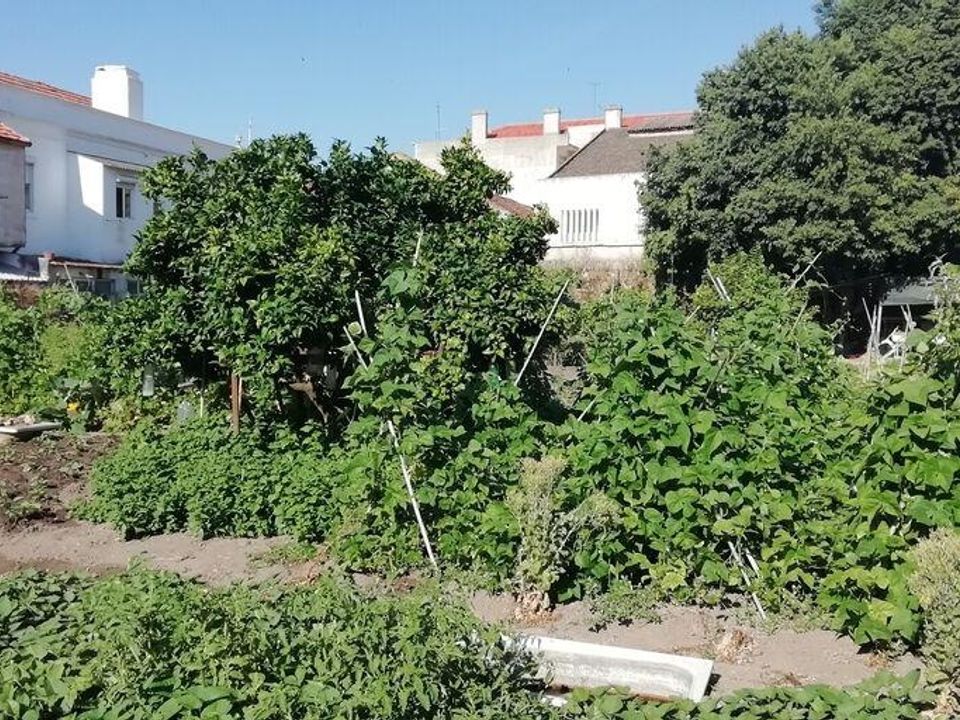 Helårsgrund i Setubal, Setubal - foto 4