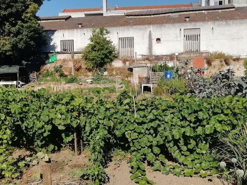 Helårsgrund i Setubal, Setubal - foto 5