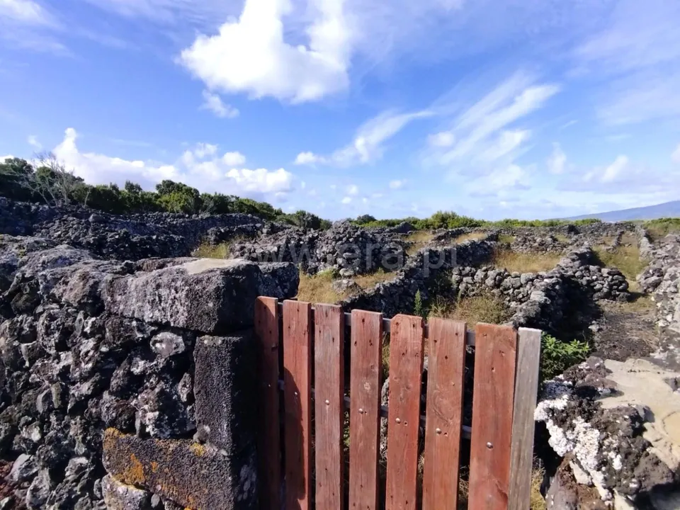 Helårsgrund i Madalena, Pico - foto 3