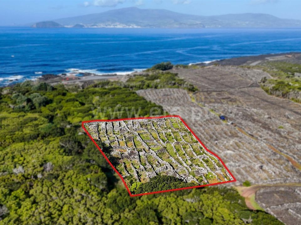 Helårsgrund i Madalena, Pico - foto 1