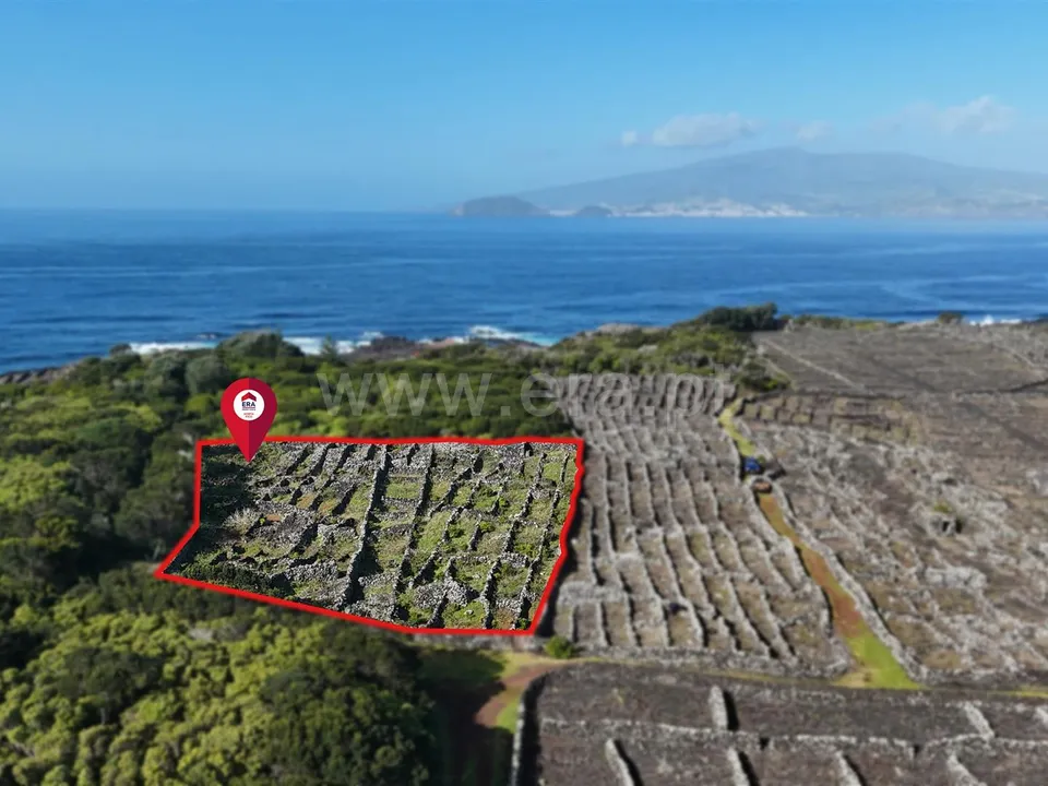 Helårsgrund i Madalena, Pico - foto 2