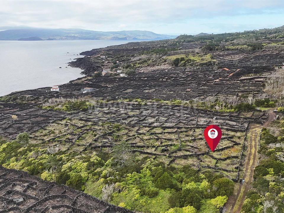 Helårsgrund i Madalena, Pico - foto 2