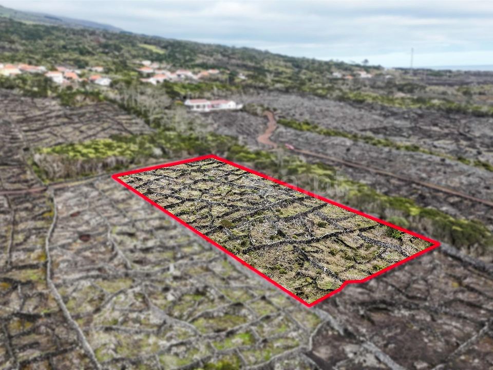Helårsgrund i Madalena, Pico - foto 3