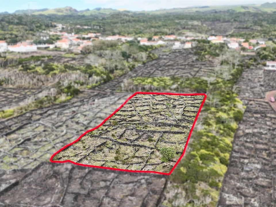 Helårsgrund i Madalena, Pico - foto 5