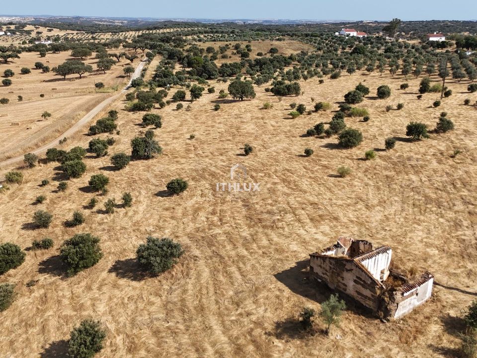 Farm hus i Alandroal, Evora - foto 1