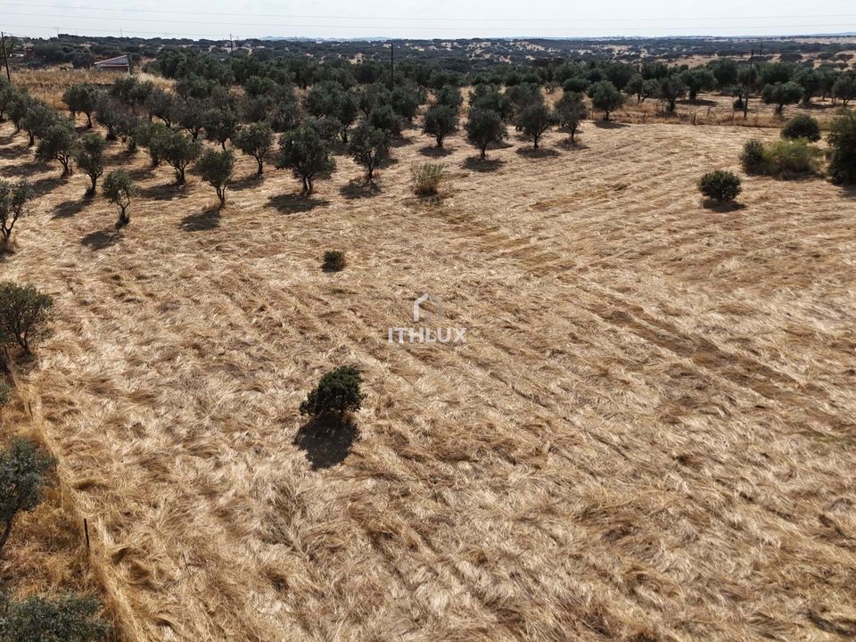 Farm hus i Alandroal, Evora - foto 3