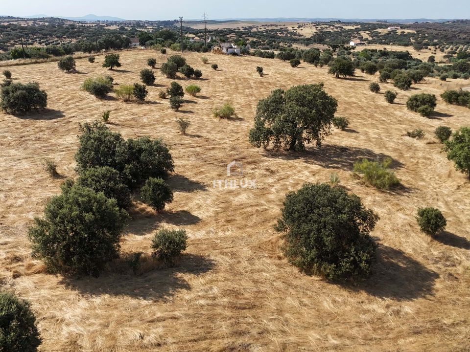 Farm hus i Alandroal, Evora - foto 4
