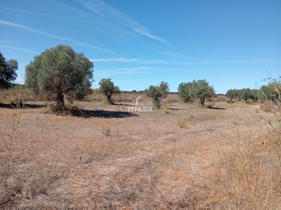 Grond in Elvas, Portalegre - foto 2
