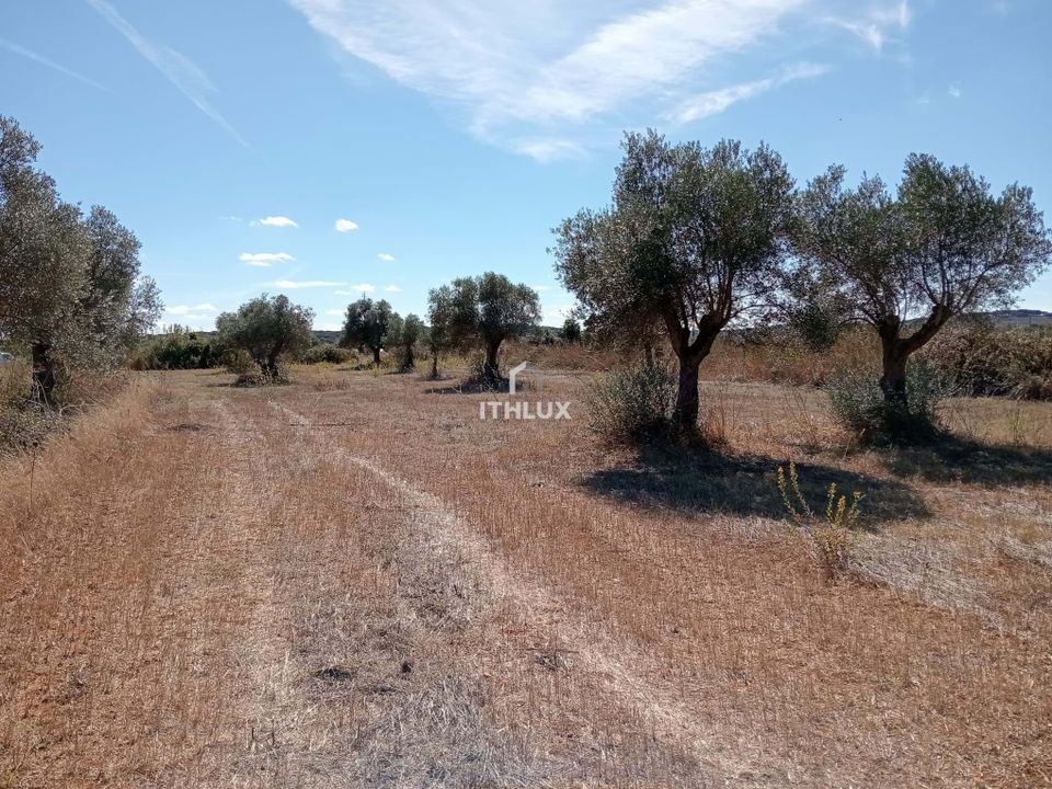 Grond in Elvas, Portalegre - foto 3