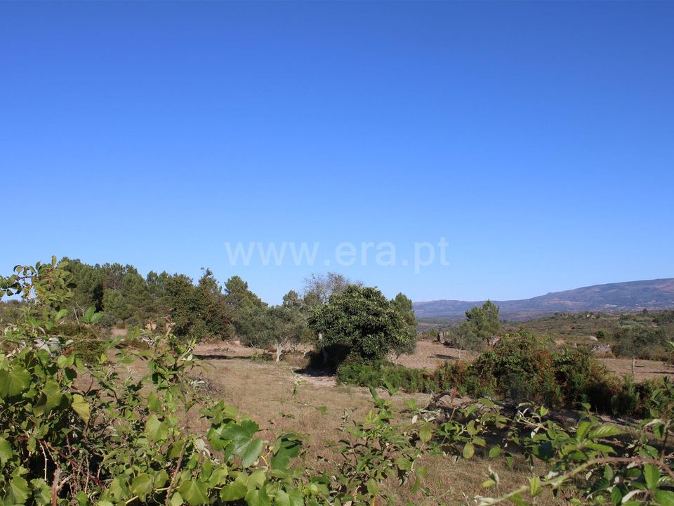 Erhvervsejendom i Fornos de Algodres, Guarda - foto 3