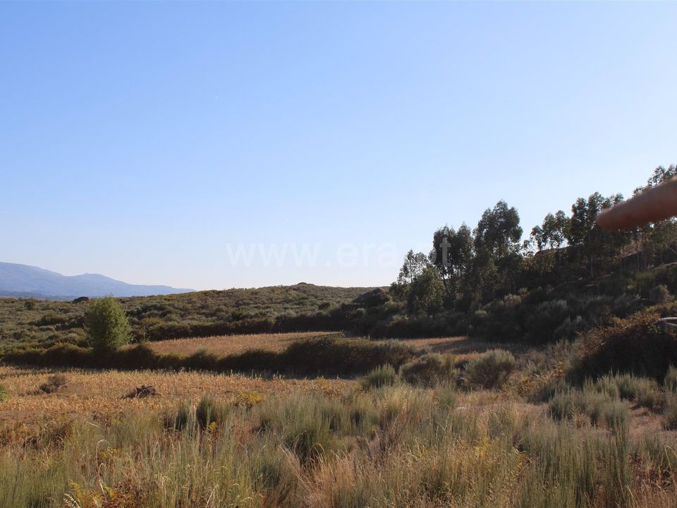 Erhvervsejendom i Fornos de Algodres, Guarda - foto 5