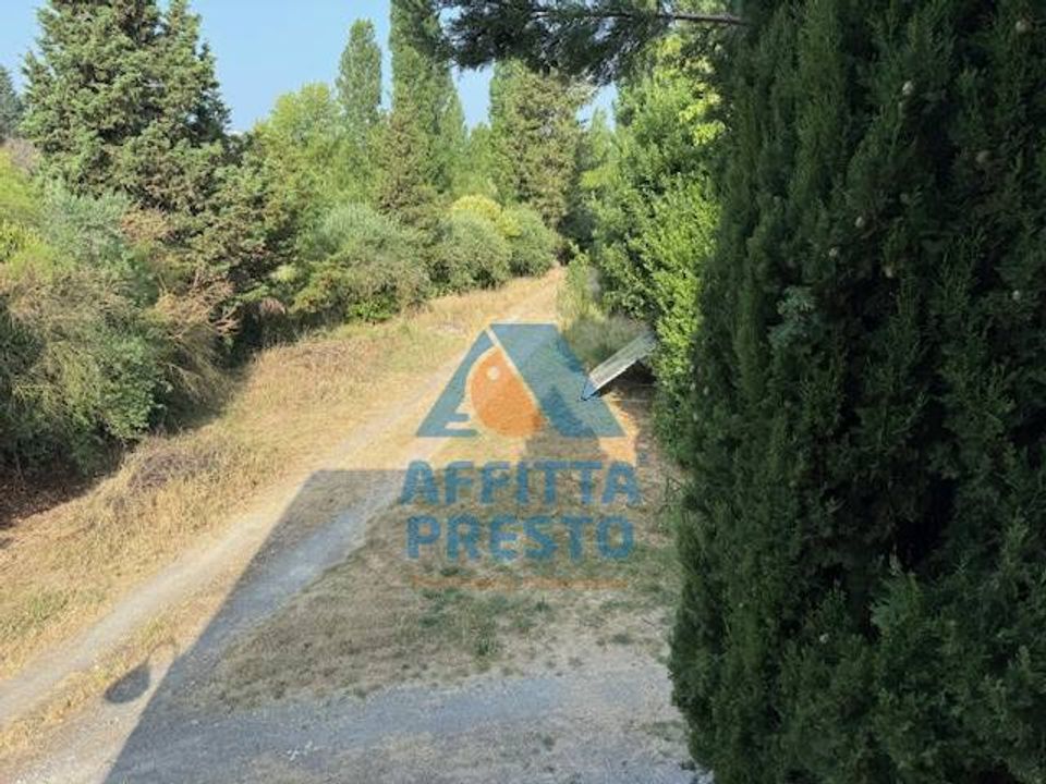 Villa i San Miniato, Pisa - foto 5