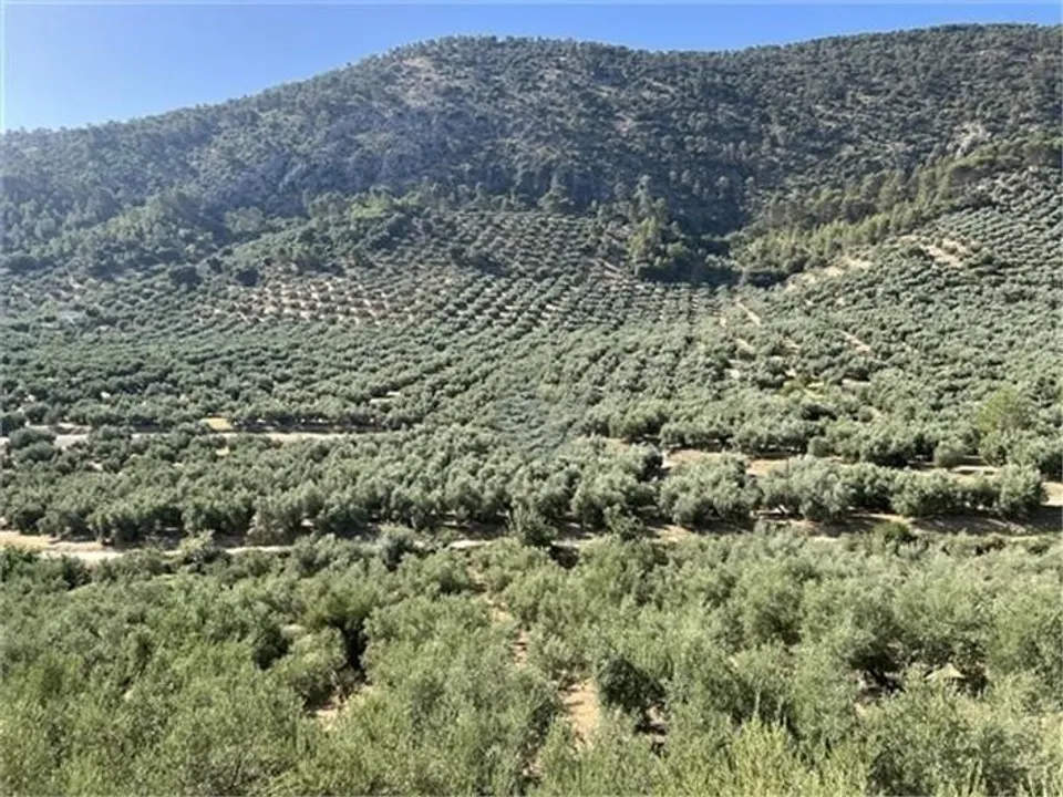 Cortijo i Las Piedras, Cordoba - foto 3