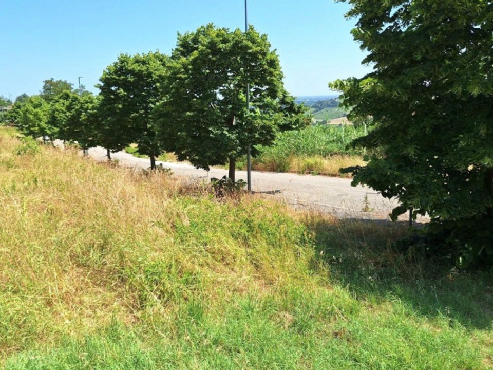 Helårsgrund i Bertinoro, Forli-Cesena - foto 4