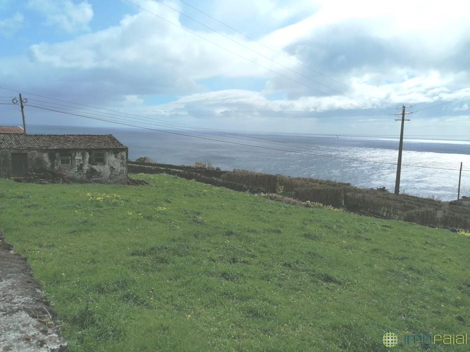 Byhus i Lajes do Pico, Pico - foto 5