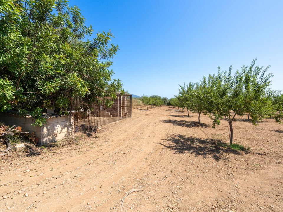 Finca i La Senia, Tarragona - foto 4