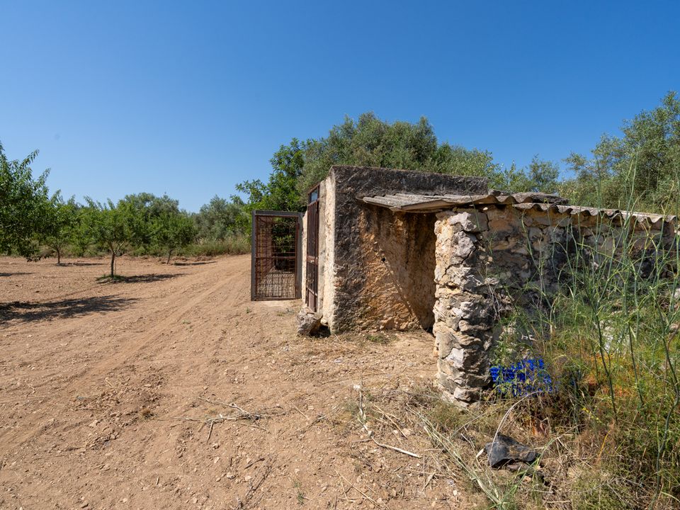 Finca i La Senia, Tarragona - foto 3