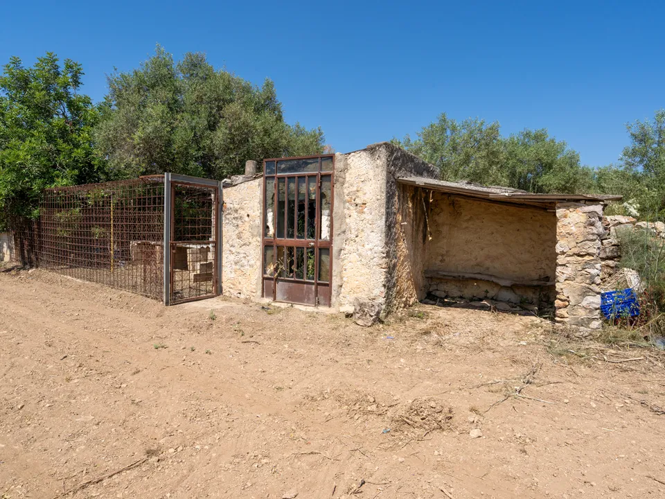 Finca i La Senia, Tarragona - foto 1