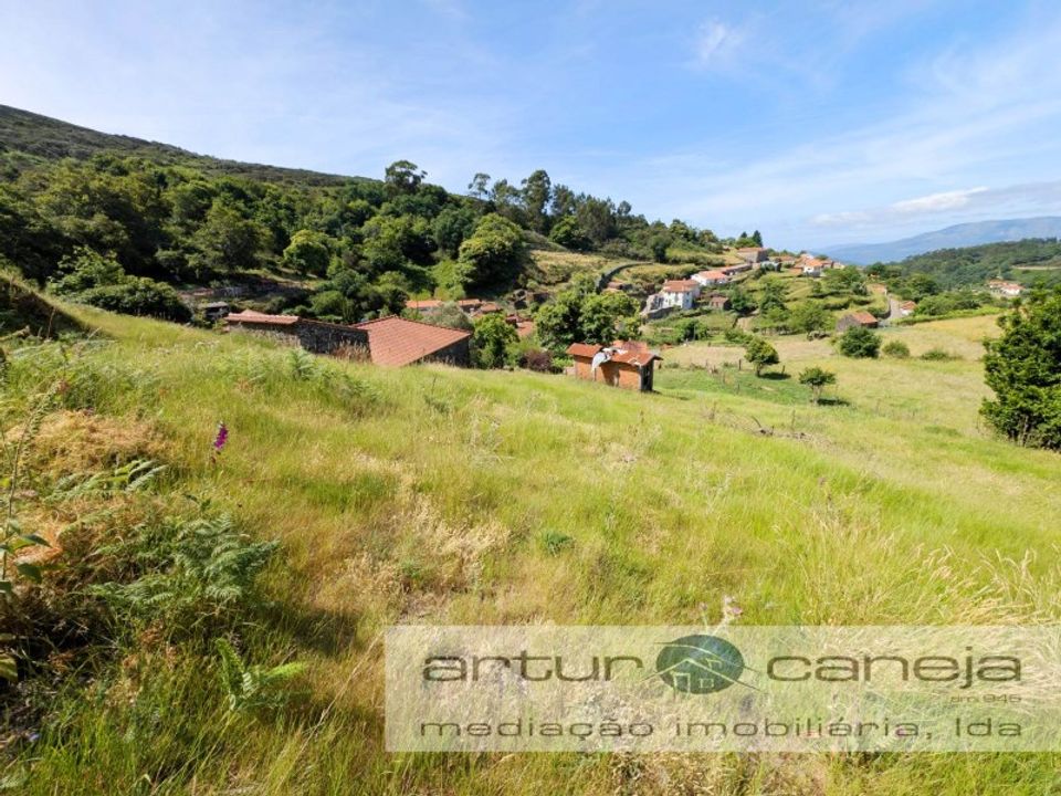 Farm i Ponte de Lima, Viana do Castelo - foto 1