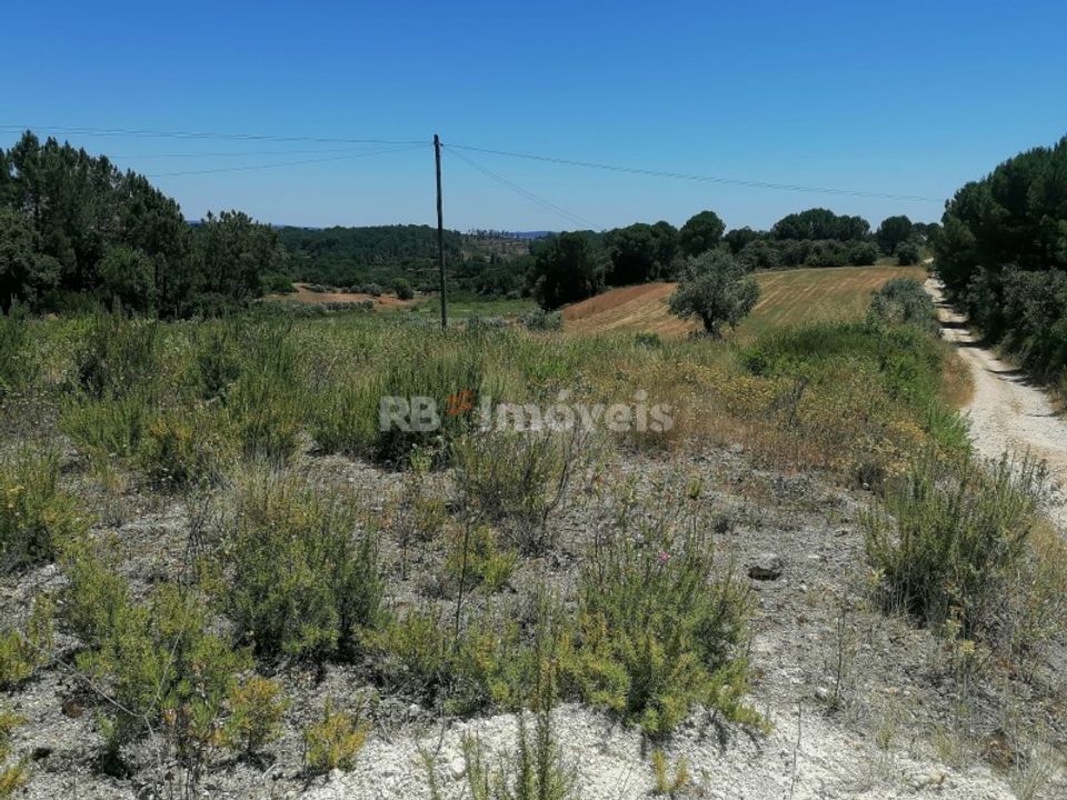 Helårsgrund i Tomar, Santarem - foto 4