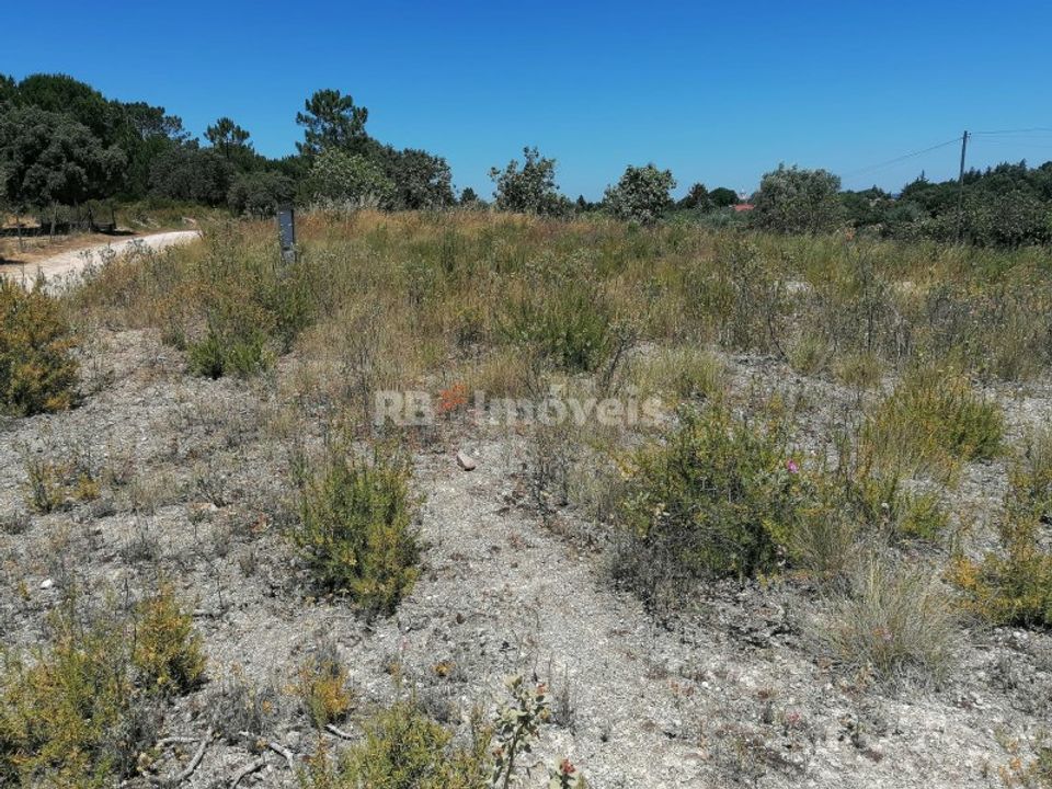 Helårsgrund i Tomar, Santarem - foto 1