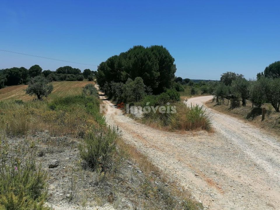 Helårsgrund i Tomar, Santarem - foto 2