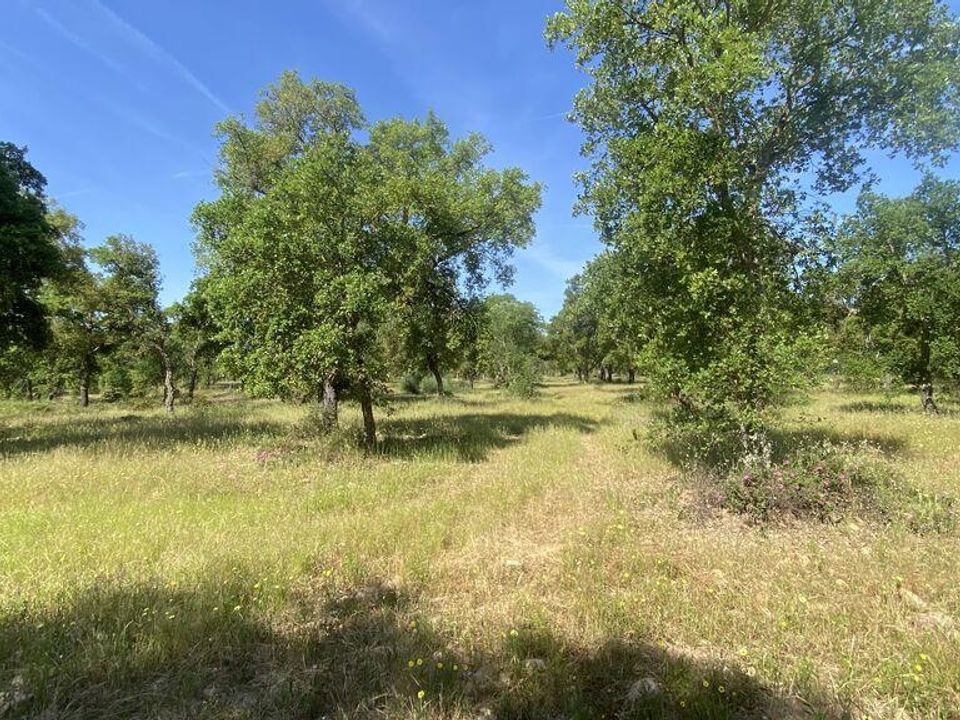 Helårsgrund i Abrantes, Santarem - foto 4
