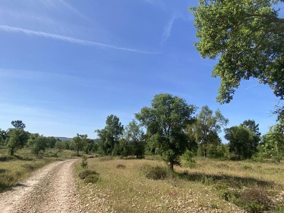 Helårsgrund i Abrantes, Santarem - foto 5