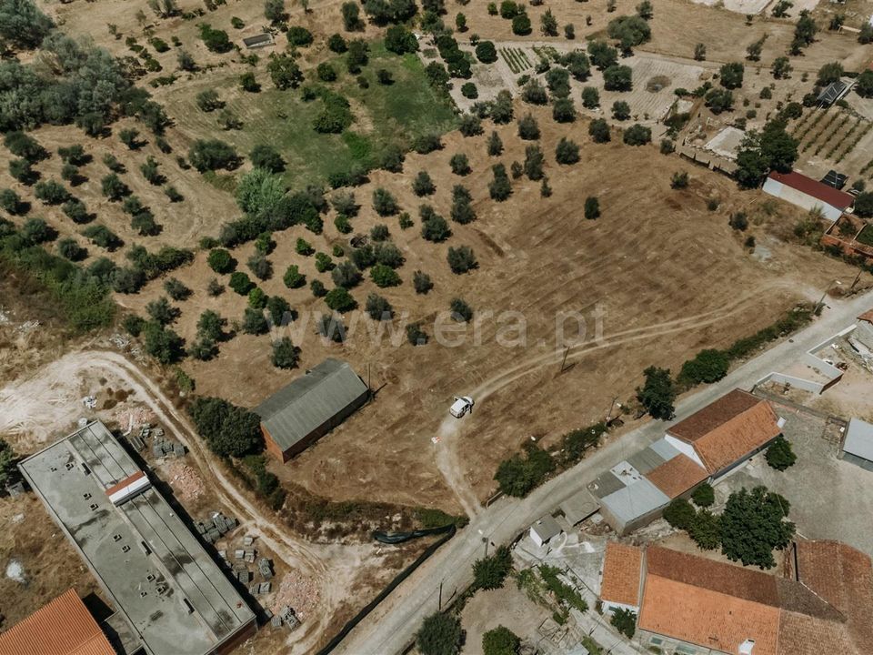 Tomt i Fundao, Castelo Branco - bilde 2