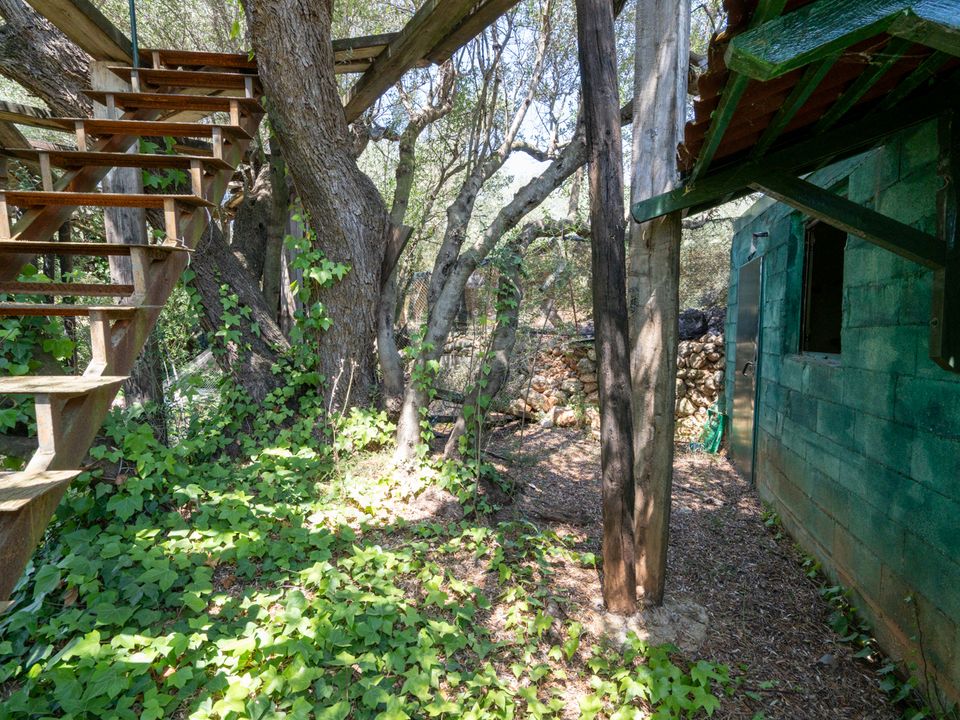 Finca i La Senia, Tarragona - foto 2