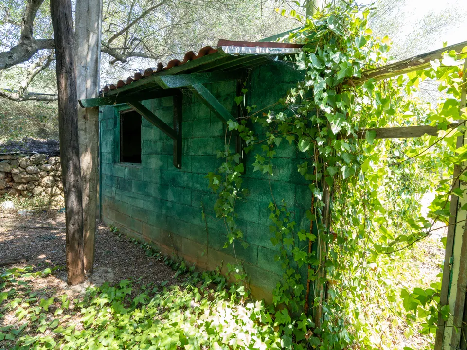 Finca i La Senia, Tarragona - foto 3