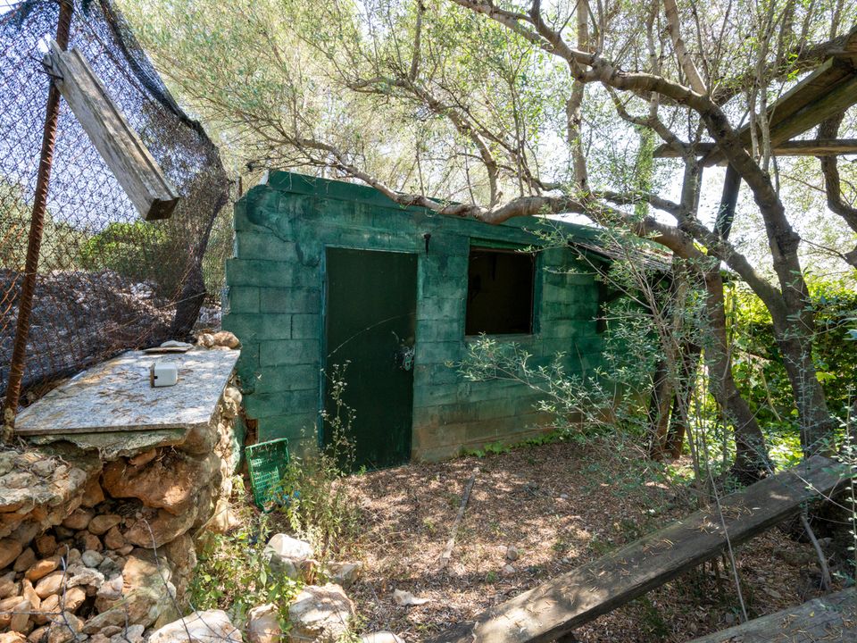 Finca i La Senia, Tarragona - foto 1