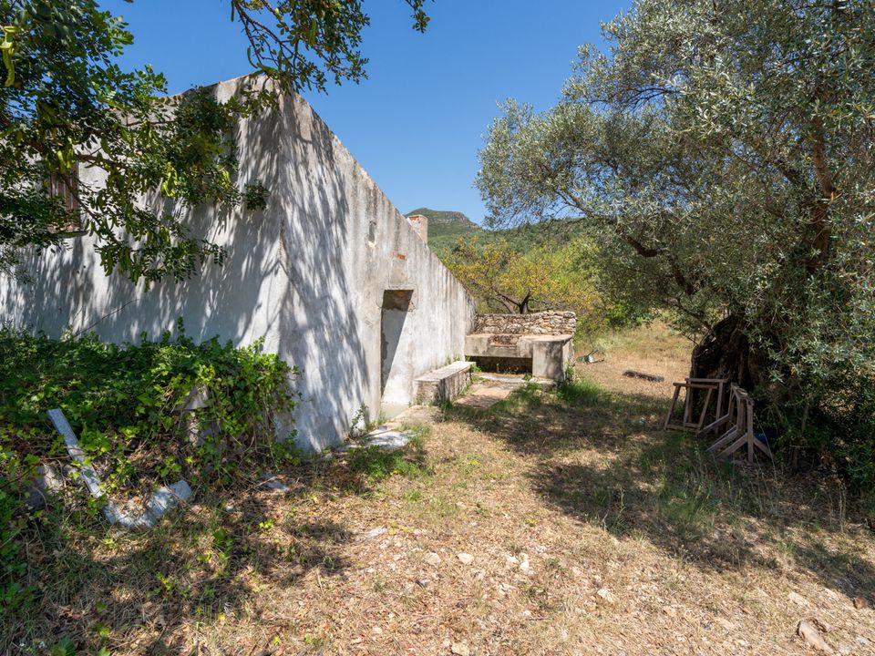 Finca i La Senia, Tarragona - foto 3