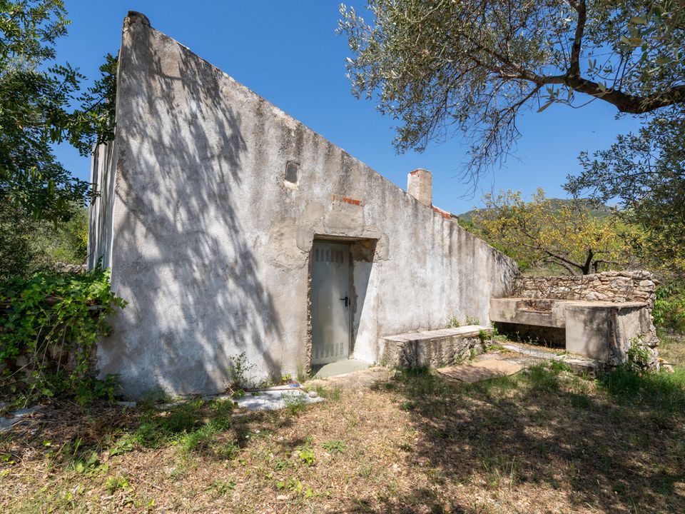 Finca i La Senia, Tarragona - foto 1