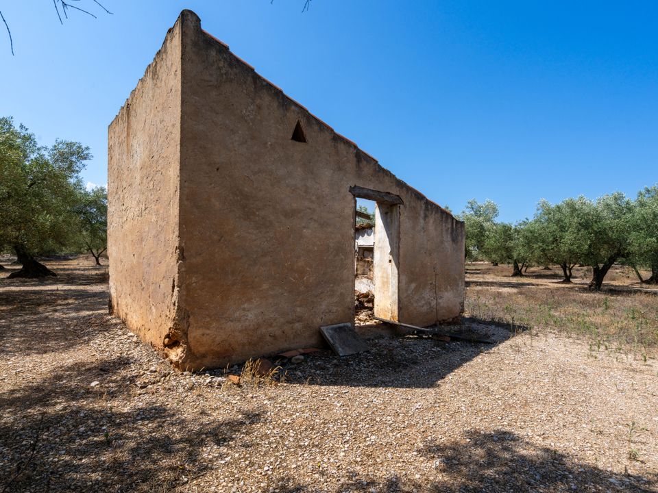 Finca i Godall, Tarragona - foto 2