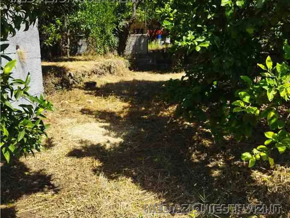 Landejendom i Zafferana Etnea, Catania - foto 3