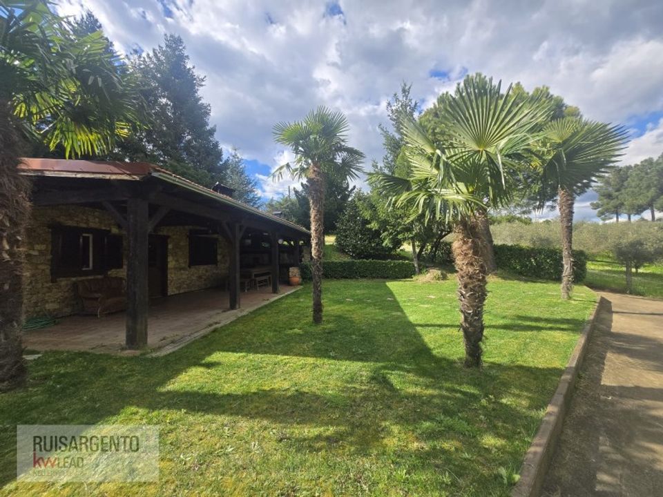 Farm i Dominguizo, Castelo Branco - foto 1