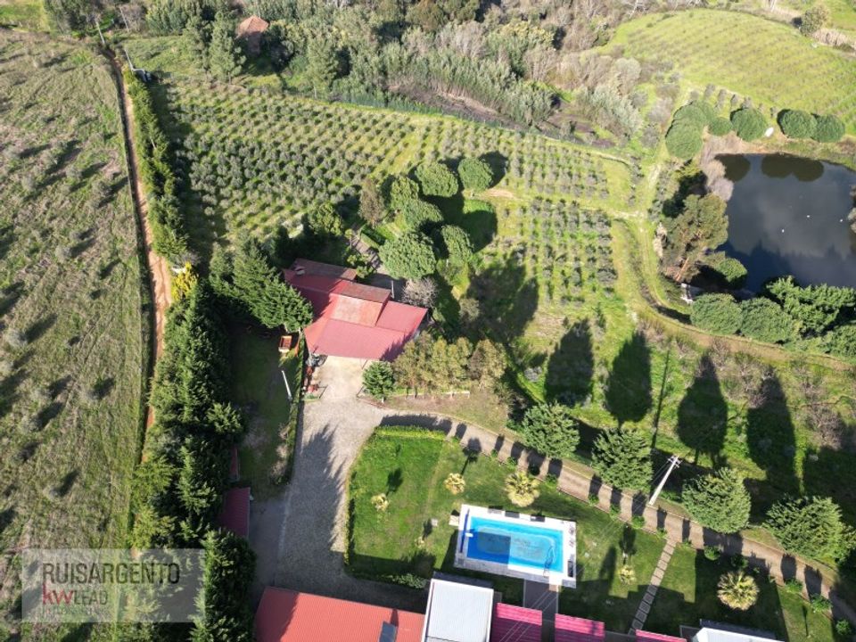 Farm i Dominguizo, Castelo Branco - foto 5