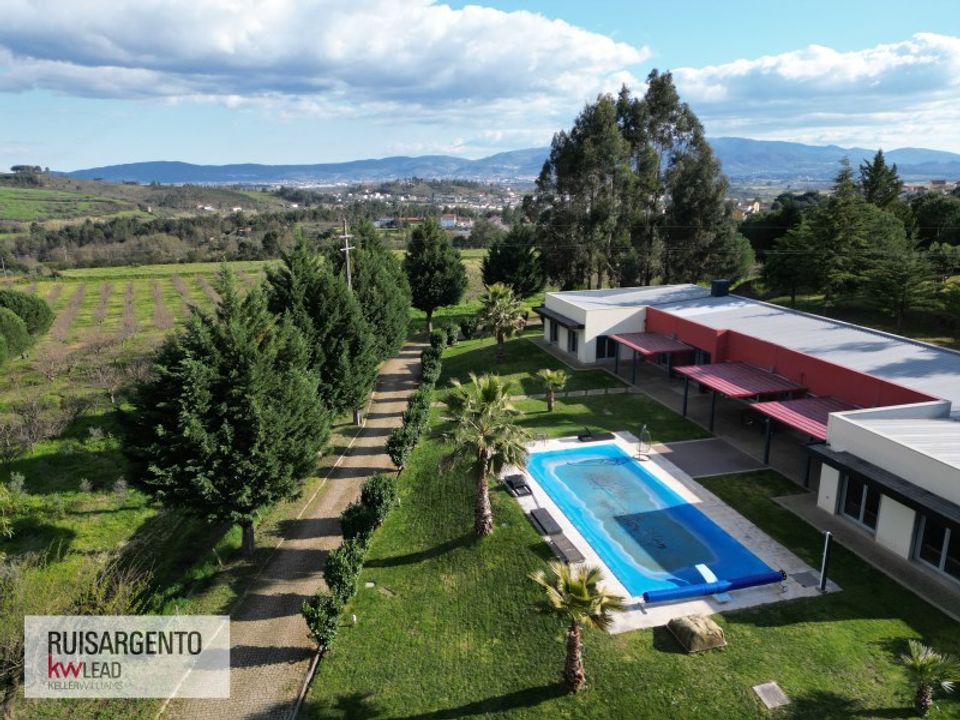 Farm i Dominguizo, Castelo Branco - foto 2