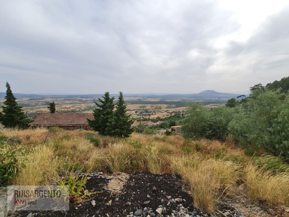 Helårsgrund i Idanha-a-Nova, Castelo Branco - foto 5